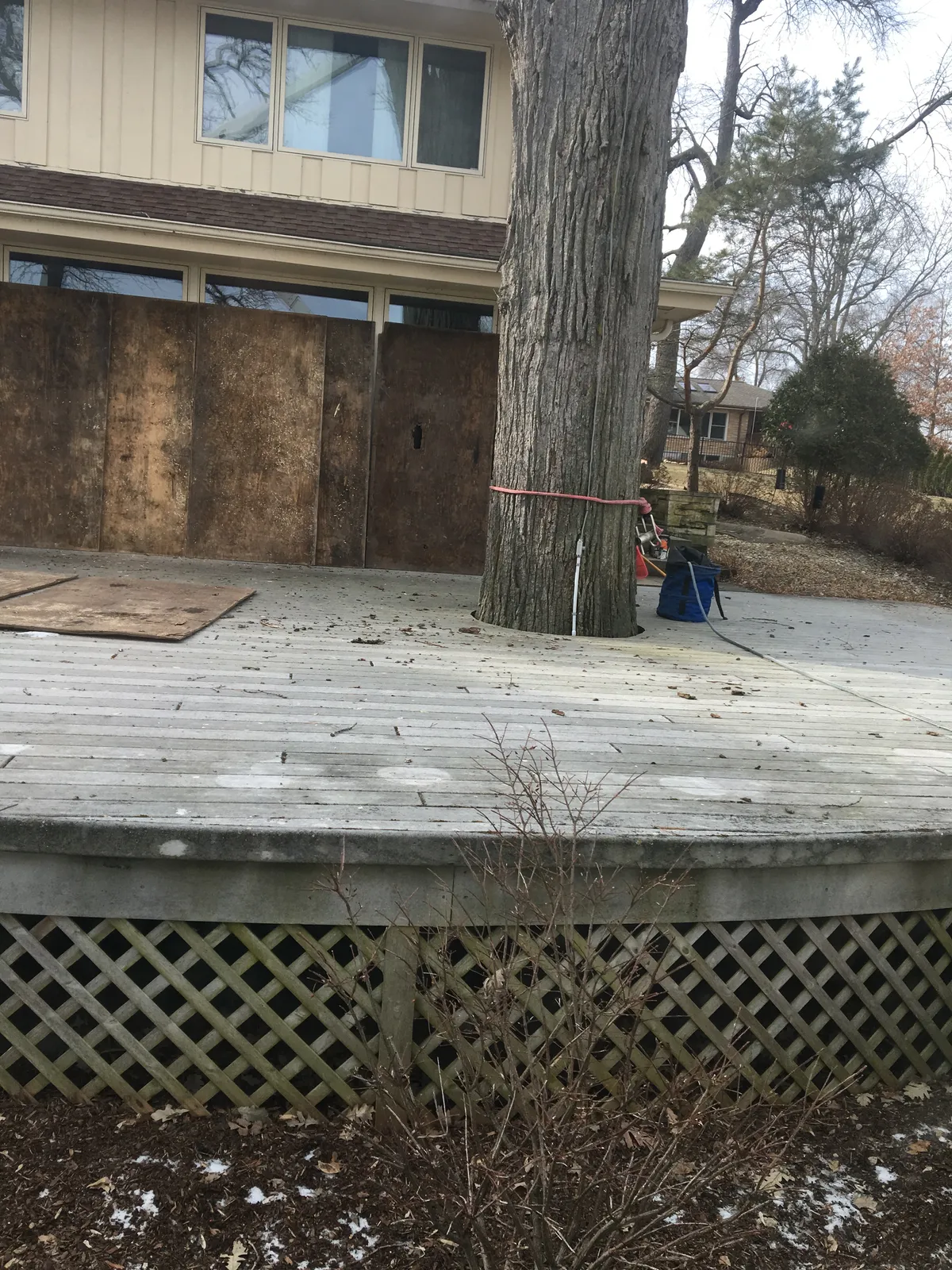 Milwaukee tree removal service preparing large tree for safe cutting near residential home