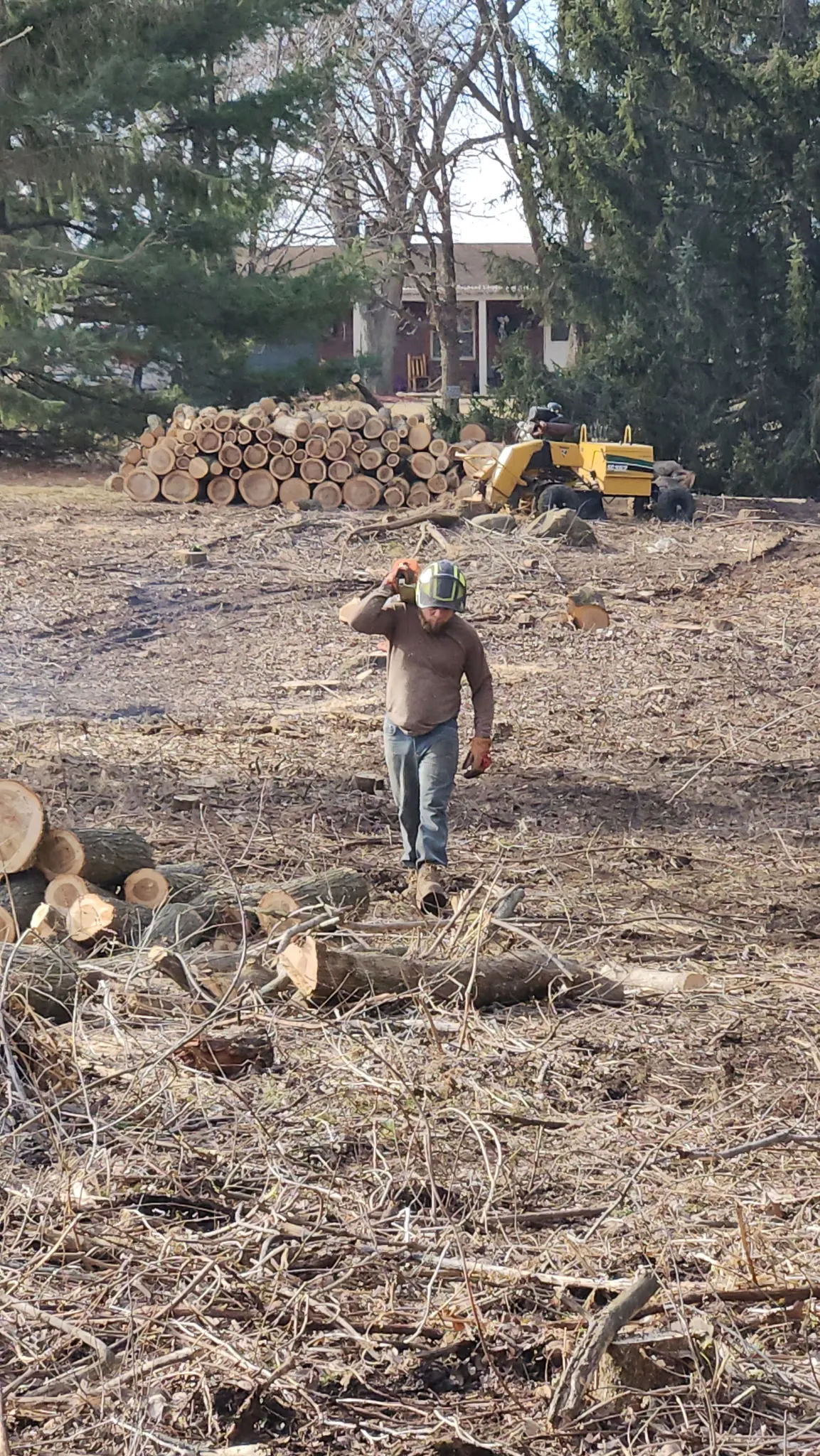 Log milling yard with stacked lumber ready for custom production after Milwaukee tree removal