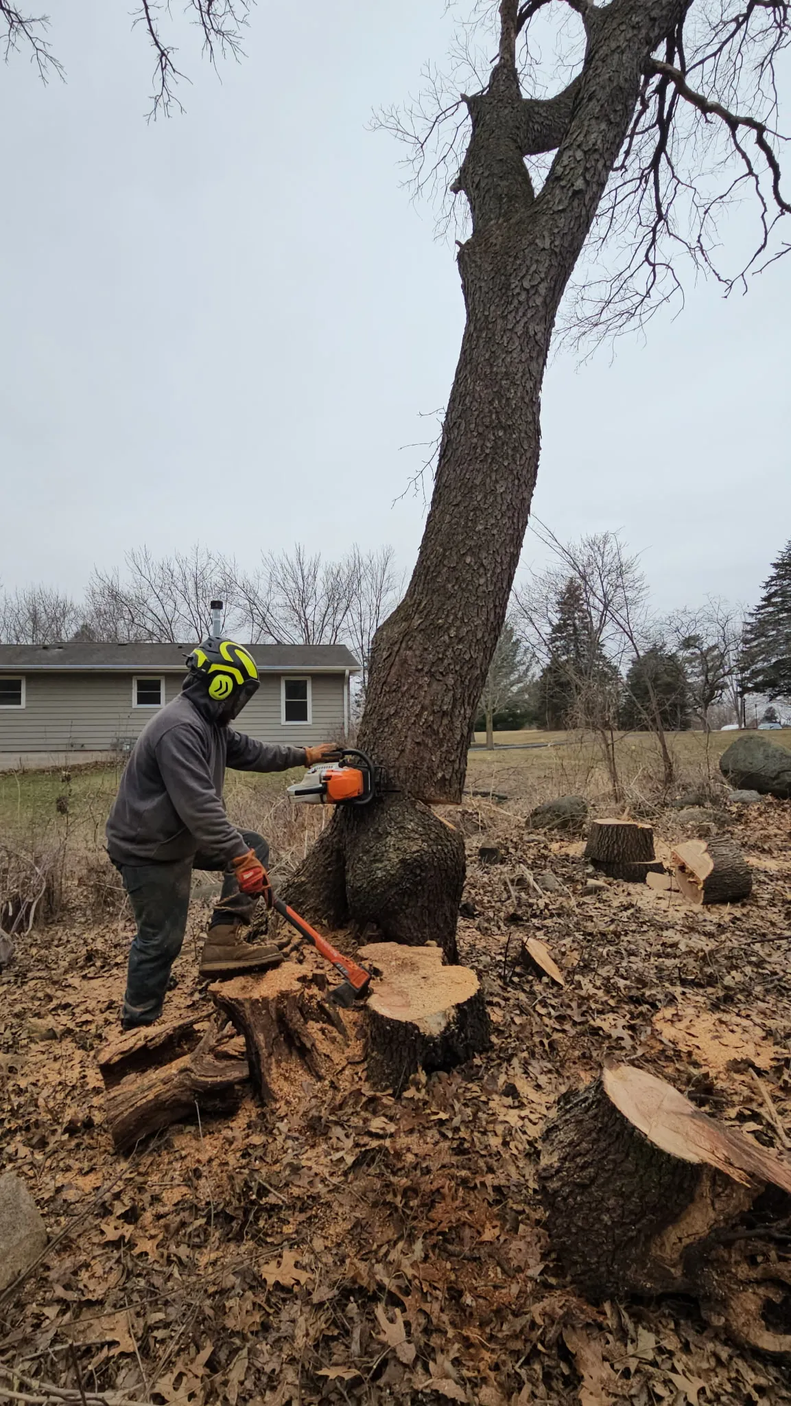 Professional tree service crew member using chainsaw for stump grinding and tree cutting in Milwaukee
